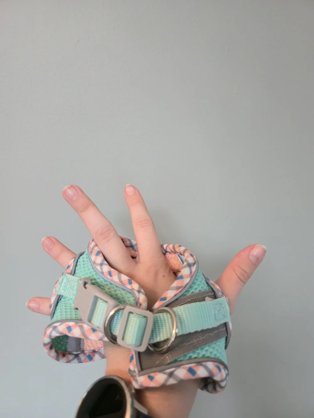Soft Mesh Cat Harness - Peach & Mint